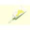 HoliFrog - Kissimmee Vitamin F Therapy Balmy Wash 74 ml / Beauty Αταξινόμητα (Ομορφιά)