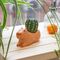 Kikkerland - Cappy the Capybara Planter Small - 4.5 x 2.5 x 2.5 / Home and Kitchen Uncategorized (Home & Kitchen) Home & Kitchen