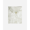 Meraki - Diffuser - Lilac Muse - 240 ml / Home and Kitchen Αταξινόμητα (Σπίτι & Κουζίνα) Σπίτι & Κουζίνα