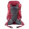 Deuter AC Lite 24 Hiking Backpack 24 L (cherry/masala) Backpacks Lugagges & Bags