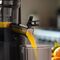 ELDOM PJ350 SLOW JUICER 250W