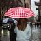 Kikkerland - New Baguette Umbrella - Red-and-White Gingham - 2.25 inches by 12 inches closed, 30.75 inches opened / Luggage and Travel Gear