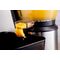 ELDOM PJ400 juice maker Centrifugal juicer 400 W Black, Silver