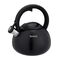 Non-Electric Kettle TEFAL N4180410, Black, Matte