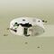 iRobot Roomba 115 Combo Robot Vacuum + Auto Empty Dock White