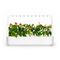 Click and Grow - Smart Garden 9 Starter kit (Color: White) (SG-015) / Home and Kitchen Διακόσμηση Σπίτι & Κουζίνα