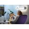 WiZ - Wi-Fi LED Strip 1M 880lm Extension EU / Home and Kitchen Lightning Home & Kitchen