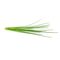 Click and Grow - Smart Garden Refill 3-pack - Chives (SG-012) / Home and Kitchen Διακόσμηση Σπίτι & Κουζίνα