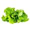 Click and Grow - Smart Garden Refill 3-pack - Green Lettuce (SG-019) / Home and Kitchen Decor Home & Kitchen