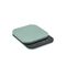 Rosti - Mensura kitchen scales - Nordic Green / Home and Kitchen Kitchen Home & Kitchen