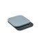 Rosti - Mensura kitchen scales - Dusty blue / Home and Kitchen Κουζίνα Σπίτι & Κουζίνα