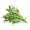 Click and Grow - Smart Garden Refill 3-pack - Arugula/Rocket (SGR19X3) / Home and Kitchen Decor Home & Kitchen