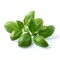 Click and Grow - Smart Garden Refill 3-pack - Basil (SGR3X3) / Home and Kitchen Διακόσμηση Σπίτι & Κουζίνα
