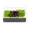 Click and Grow - Smart Garden 9 Starter kit (Color: Dark Gray) (SG9S8UNI) / Home and Kitchen Διακόσμηση Σπίτι & Κουζίνα