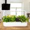 Click and Grow - Smart Garden 9 Starter kit (Color: Dark Gray) (SG9S8UNI) / Home and Kitchen Διακόσμηση Σπίτι & Κουζίνα