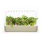 Click and Grow - Smart Garden 9 Starter kit (Color: Dark Gray) (SG9S8UNI) / Home and Kitchen Διακόσμηση Σπίτι & Κουζίνα