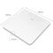 Beurer - GS 225 – Glass Digital Scale - 5 Years Warranty / Home and Kitchen Kitchen Home & Kitchen
