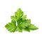 Click and Grow - Smart Garden Refill 3-pack - Cilantro/Coriander (SGR45X3) / Home and Kitchen Decor Home & Kitchen