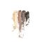 Dr. Hauschka - Eye And Brow Palette 01 Stone 5.3 g / Beauty Eyes Makeup