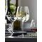 Luigi Bormioli - Optica Gin&Tonic Burgundy Glass 75 cl 4 pcs. / Home and Kitchen Κουζίνα Σπίτι & Κουζίνα